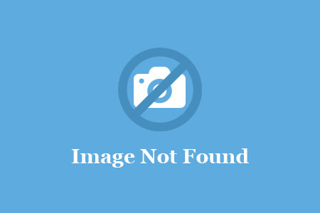 Surat Tugas Penelitian 2024